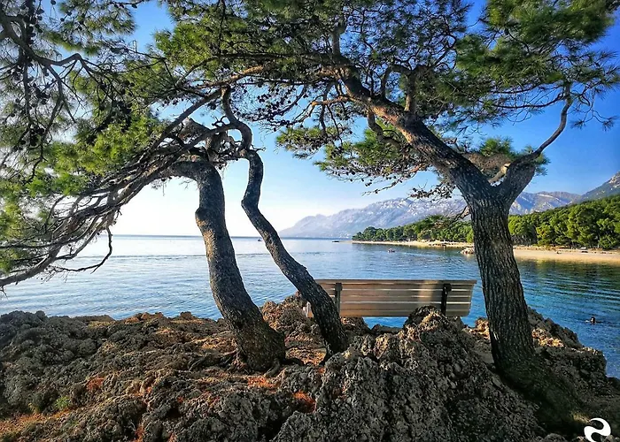 Daire Nives Suhi Potok